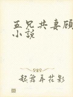 五兄共妻顾心儿小说