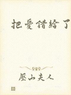 把爱错给了你