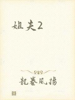 姐夫2