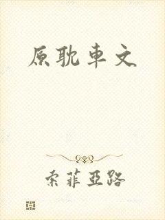 原耽车文