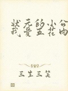 状元的小公主(我爱五花肉)