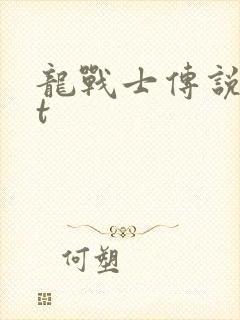 龙战士传说txt