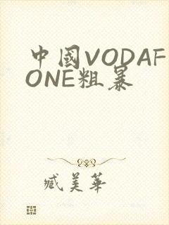 中国VODAFONE粗暴