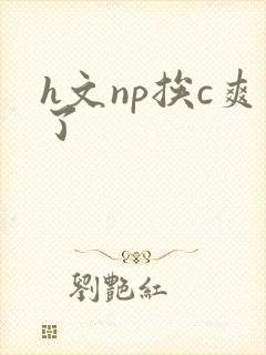 h文np挨c爽了