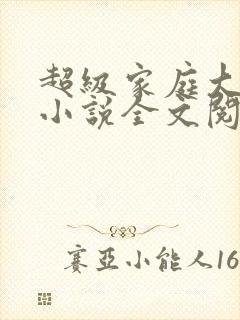 超级家庭大杂烩小说全文阅读