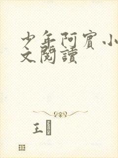 少年阿宾小说全文阅读