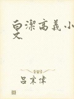 白洁高义小说全文