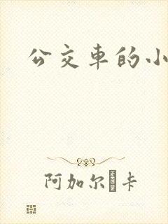 公交车的小说