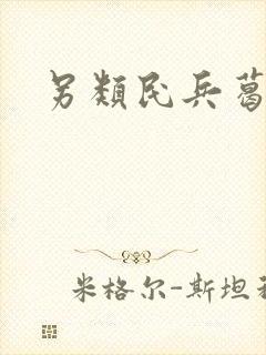 另类民兵葛二蛋