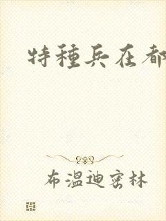 特种兵在都市