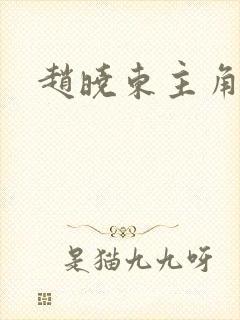 赵晓东主角小说