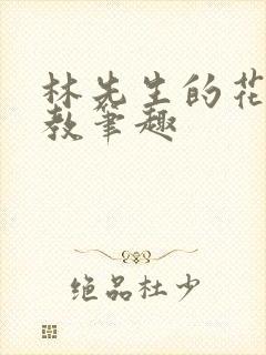 林先生的花式管教笔趣