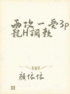 两攻一受3p双龙H调教