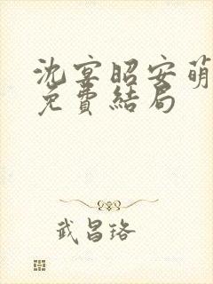 沈宴昭安萌全文免费结局