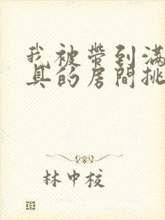 我被带到满是玩具的房间挑调作文