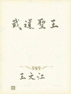 武道圣王