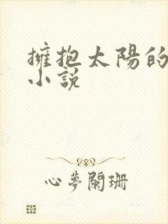 拥抱太阳的月亮小说