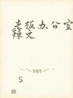 老板办公室系列辣文