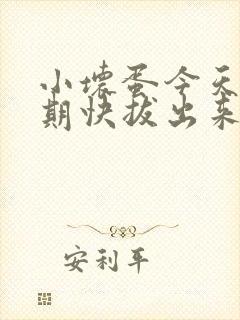 小坏蛋今天危险期快拔出来