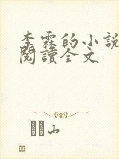 李霖的小说免费阅读全文