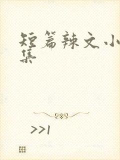 短篇辣文小说合集