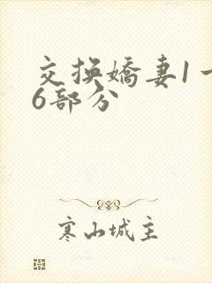 交换娇妻1一36部分