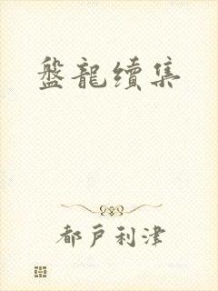 盘龙续集