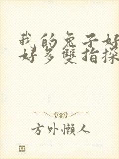 我的兔子好软水好多双指探洞小说