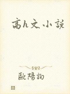 高h文小说