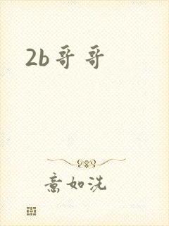 2b哥哥