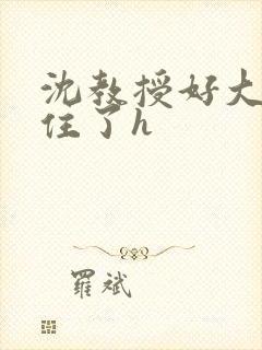 沈教授好大含不住了h