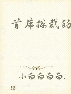 首席总裁的逃妻