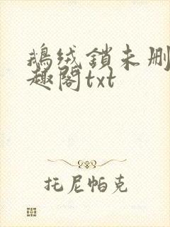 鹅绒锁未删除笔趣阁txt