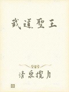 武道圣王