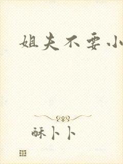 姐夫不要小说