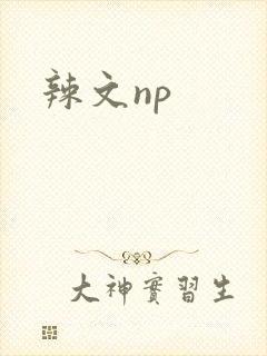 辣文np