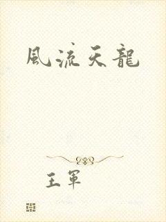 风流天龙