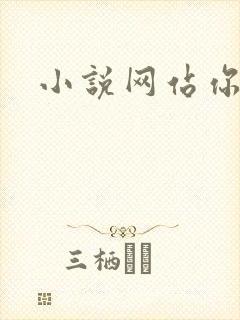 小说网站你懂的