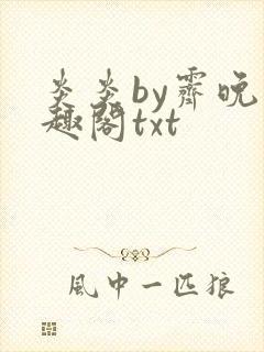 炎炎by霁晚笔趣阁txt