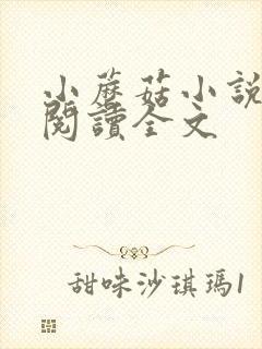 小蘑菇小说免费阅读全文