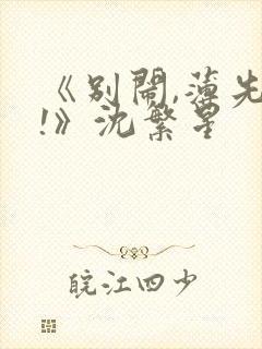 《别闹,薄先生!》沈繁星