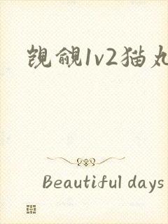 觊觎1v2猫丸