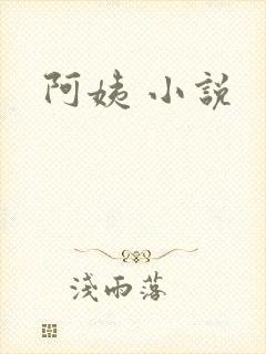 阿姨 小说