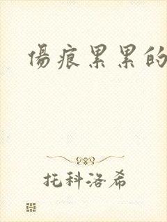 伤痕累累的勋章