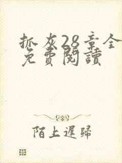 抓灰28章全部免费阅读