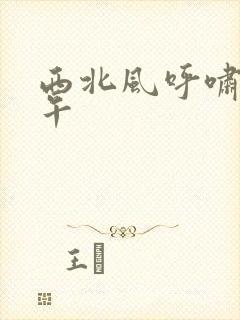 西北风呼啸的中午