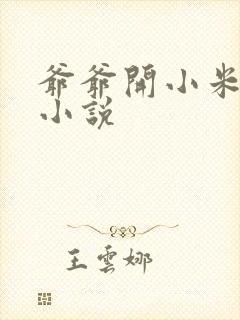 爷爷开小米的包小说
