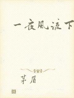 一夜风流下载