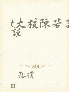 t大校陈若芸小说