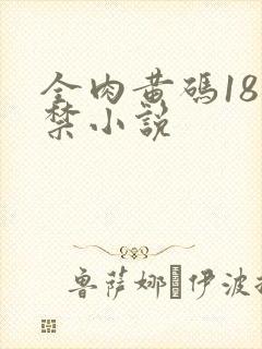 全肉黄码18无禁小说